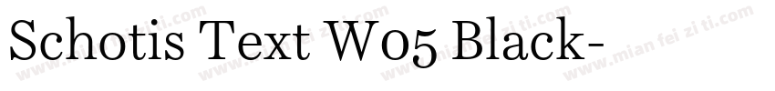 Schotis Text W05 Black字体转换